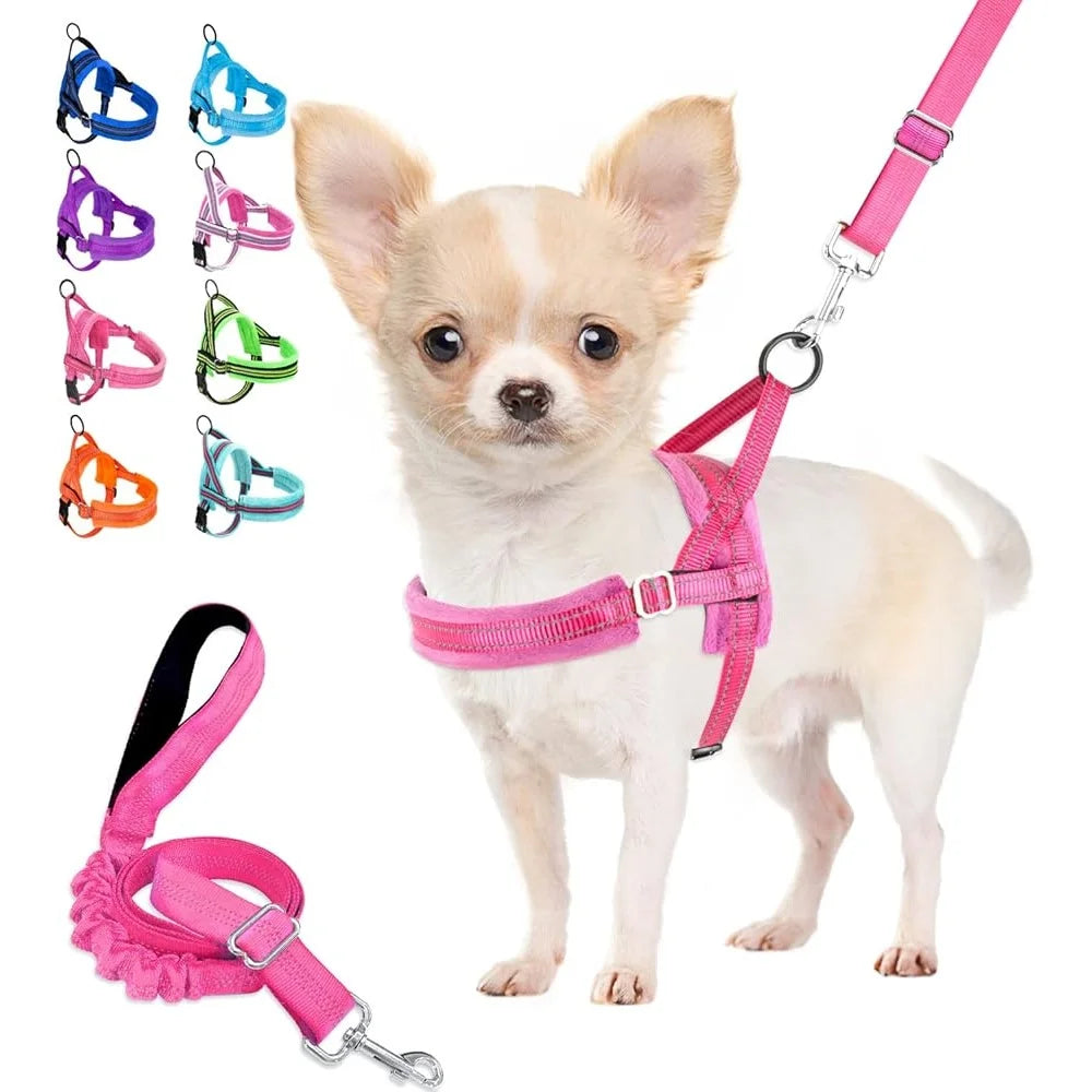 Soft Padded Adjustable Dog Harness Leash Set for Small Dogs