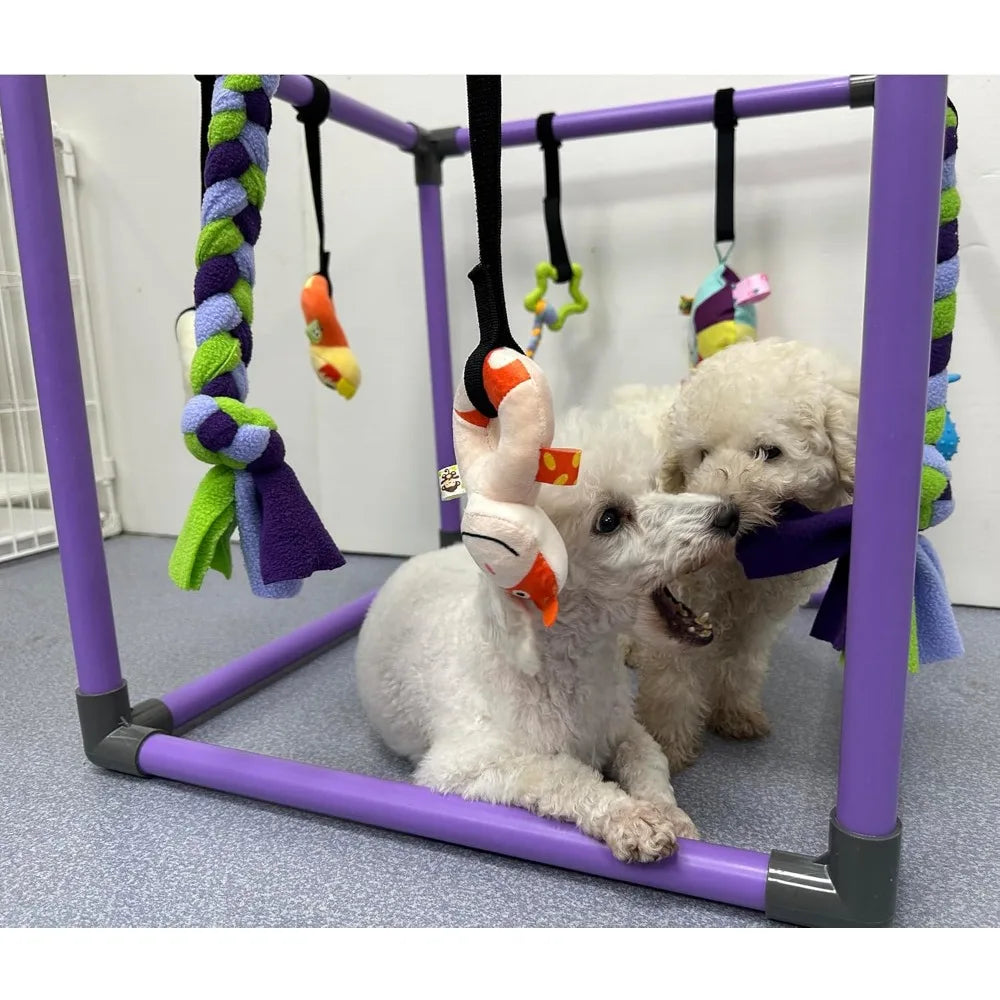 Hign Concerned Puppy Play Gym With Eight Hanging Toys