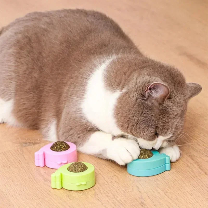 Catnip Ball Licking Toy for Cats Rotatable Wall Treats