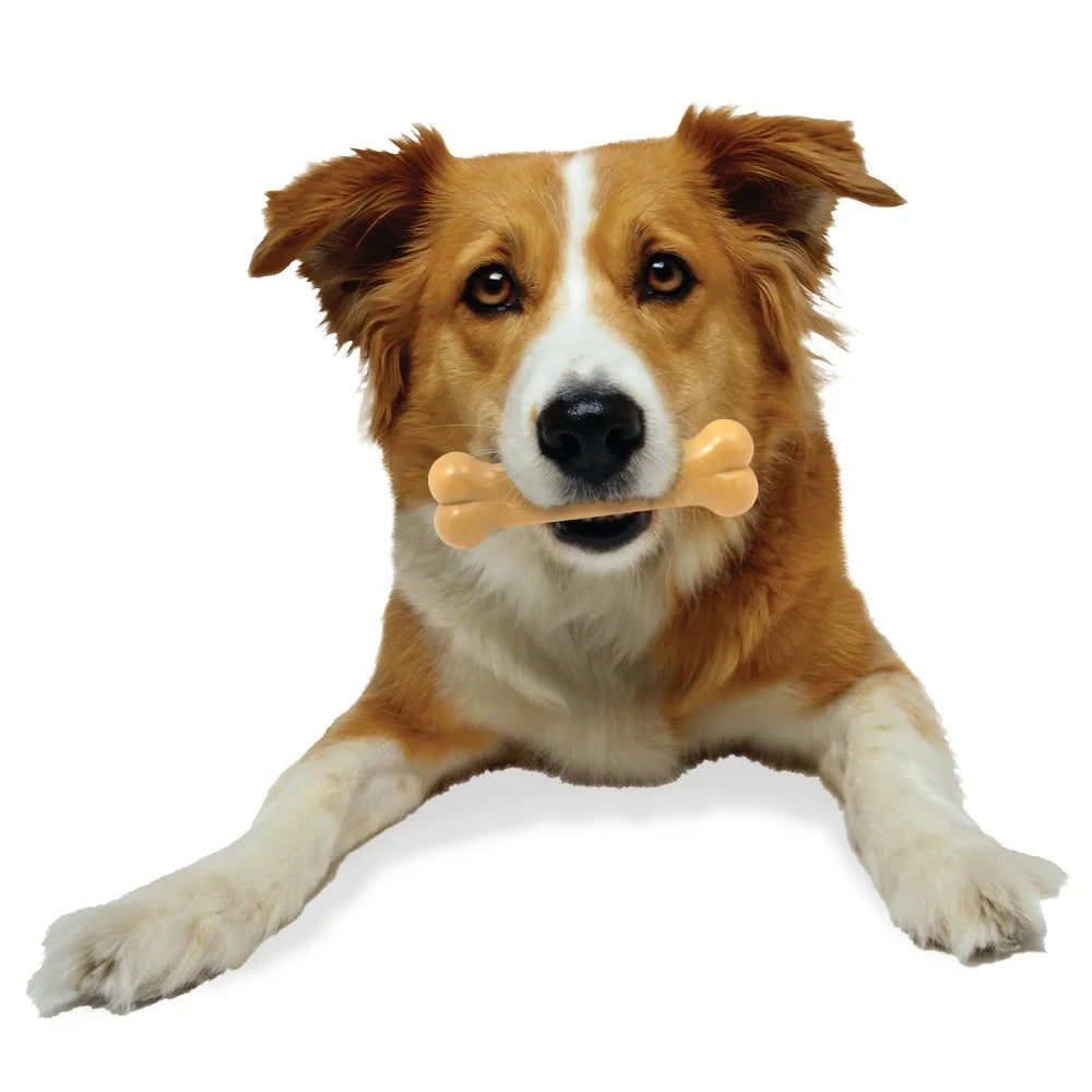 XMSJH Power Chew Nylon Dog Bone Peanut Butter Flavor Toy