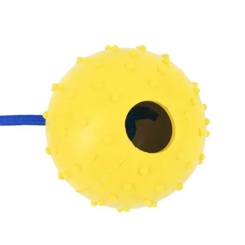 Rubber Interactive Dog Fetch Ball Toy with Rope for Training