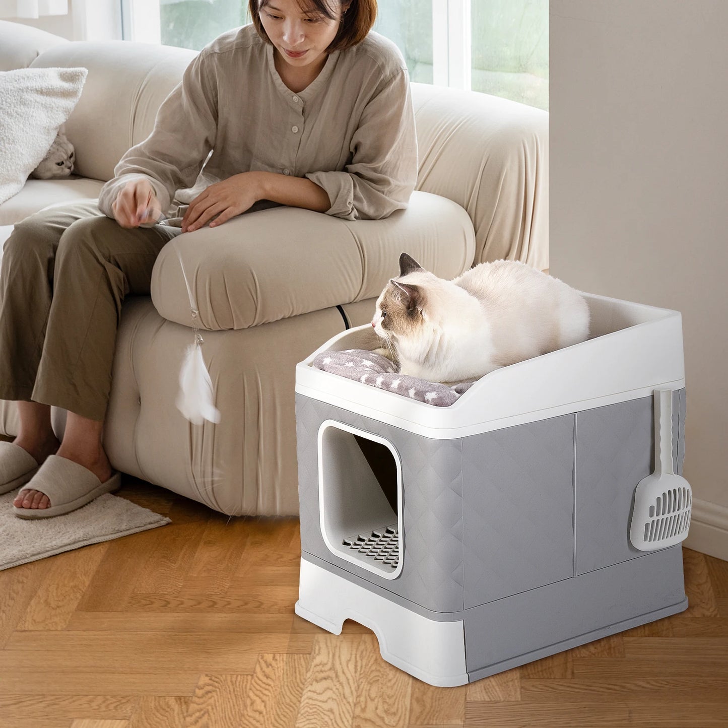 Bingopaw Cat Litter Box with Lid Enclosed Top Entry