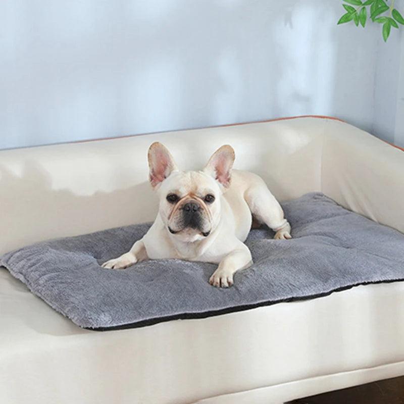 Heated Plush Dog Bed Mat for Cats and Dogs Comfortable Blanket