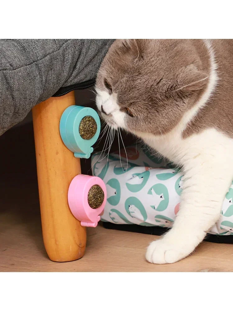 Catnip Ball Licking Toy for Cats Rotatable Wall Treats