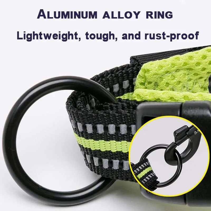 Winhyepet Dog Walking Collar Padded Comfort Nylon Travel