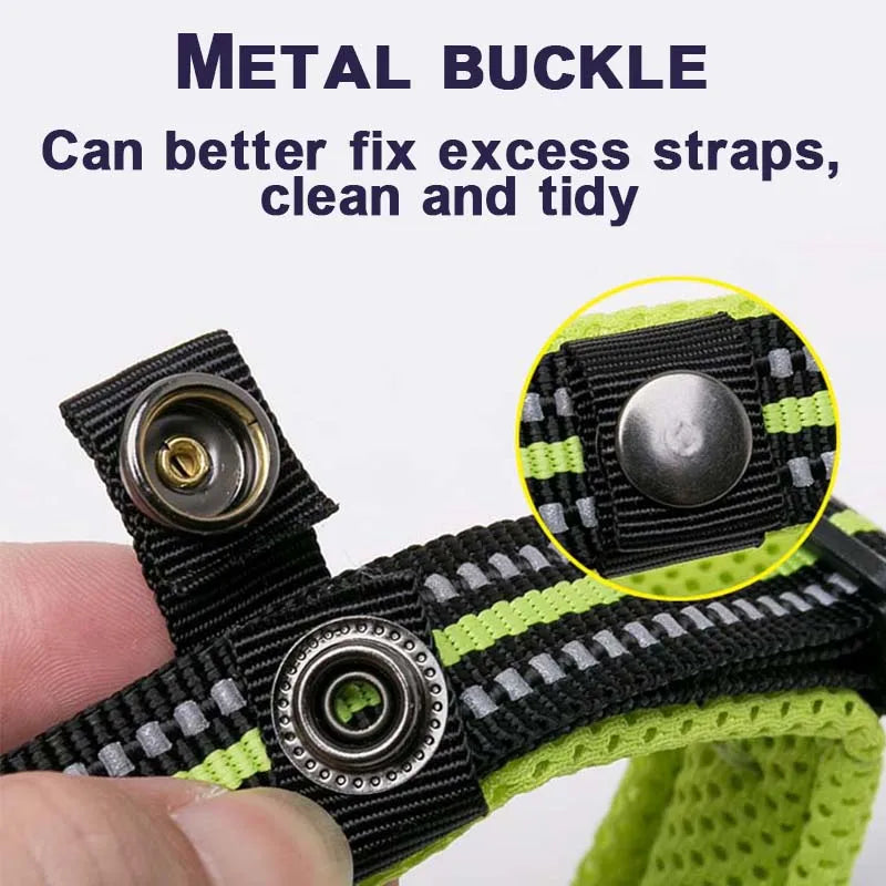 Winhyepet Dog Walking Collar Padded Comfort Nylon Travel