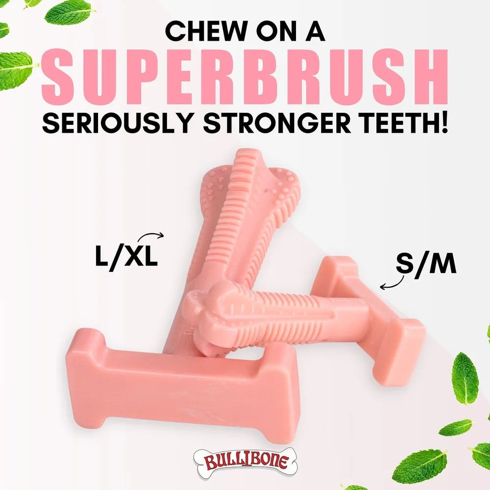 XMSJHign Concerned Peppermint Chew Dog Toys Nylon Dental