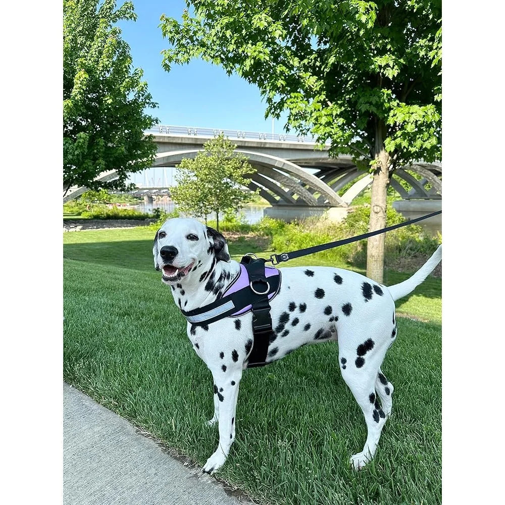 No Pull Dog Harness Adjustable Reflective Vest with 3 Clips