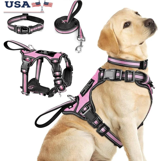 Reflective No Pull Pet Harness Leash Set for Dogs of All Sizes