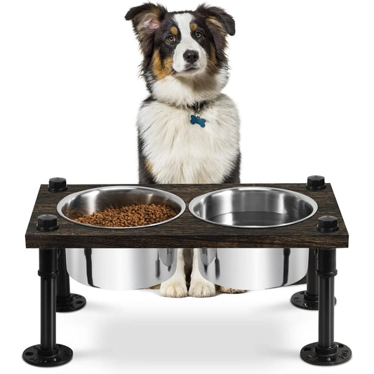Raised Dog Bowl Stand with Stainless Bowls and Waterproof Base