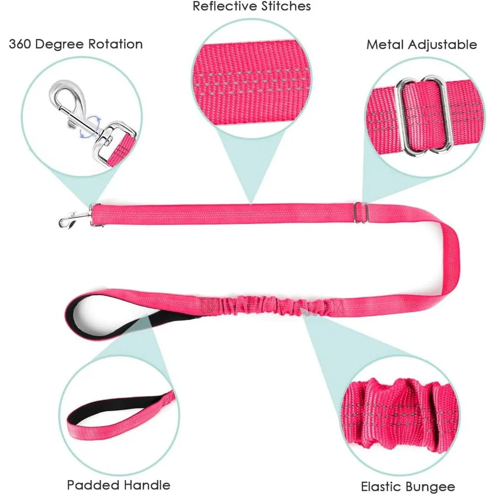 Soft Padded Adjustable Dog Harness Leash Set for Small Dogs