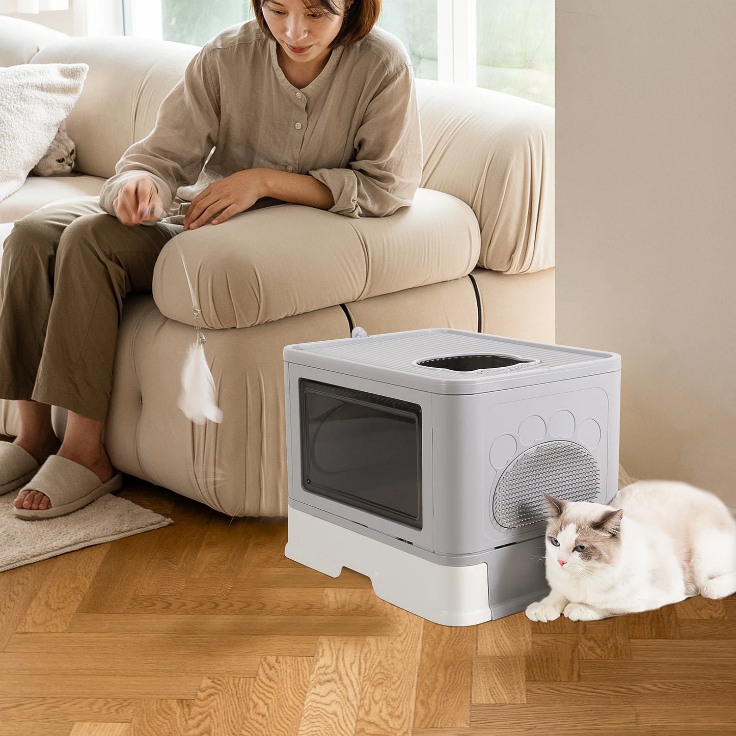 Bingopaw Cat Litter Box with Lid Enclosed Top Entry
