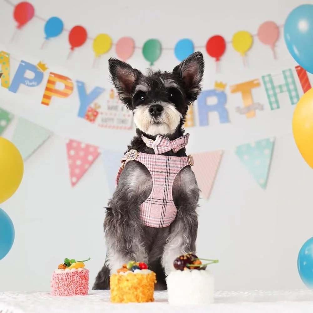 Cute Adjustable Plaid Dog Harness Collar Leash Set for XS Pets