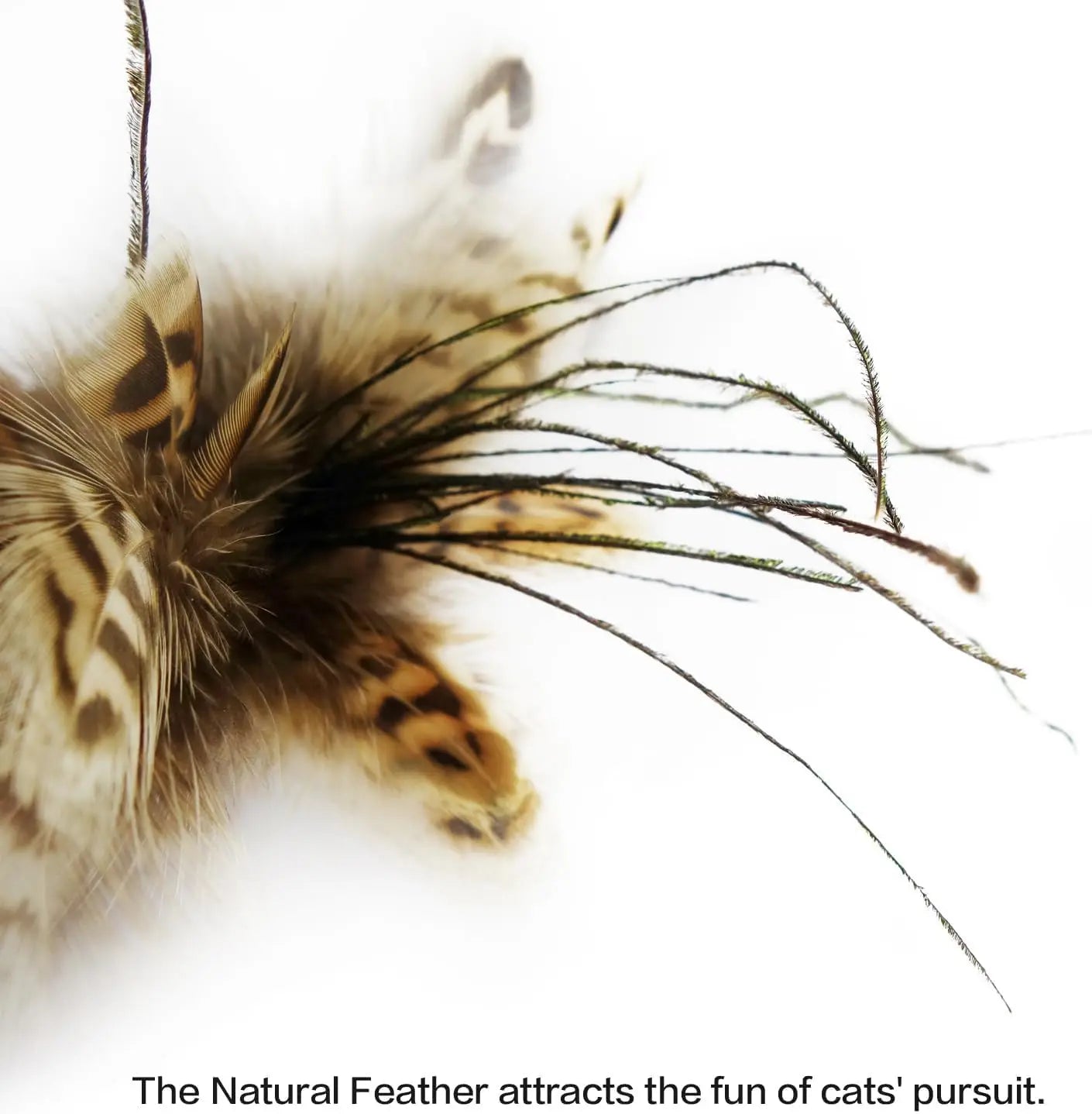 CN Zhejiang Feather Cat Ball Toy With Bell For Indoor Cats