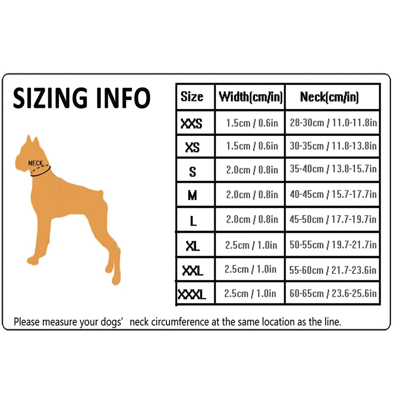 Winhyepet Dog Walking Collar Padded Comfort Nylon Travel