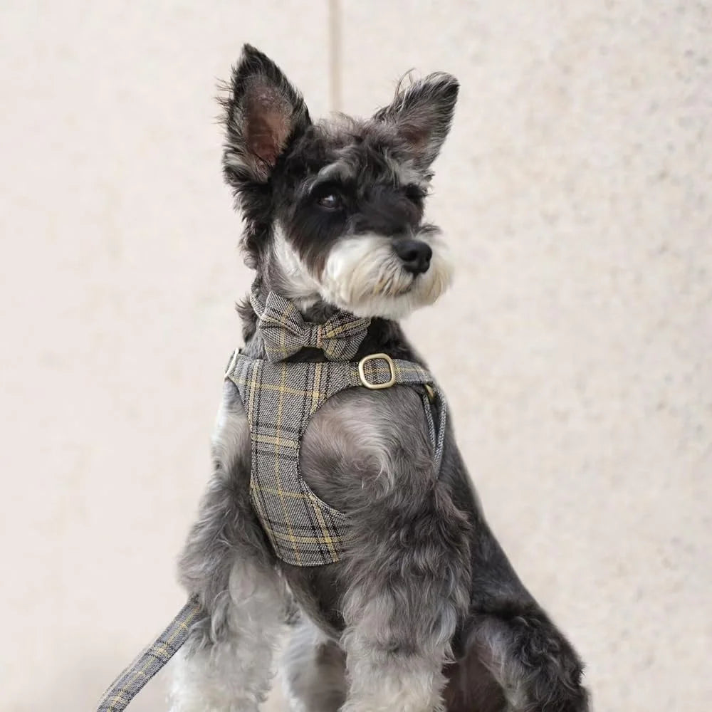 Cute Adjustable Plaid Dog Harness Set with Collar and Leash